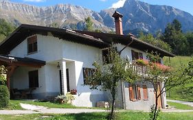 Tourist Farm Žvanč