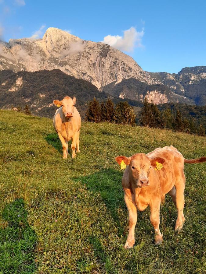 Tourist Farm Žvanč Kobarid Buitenkant foto