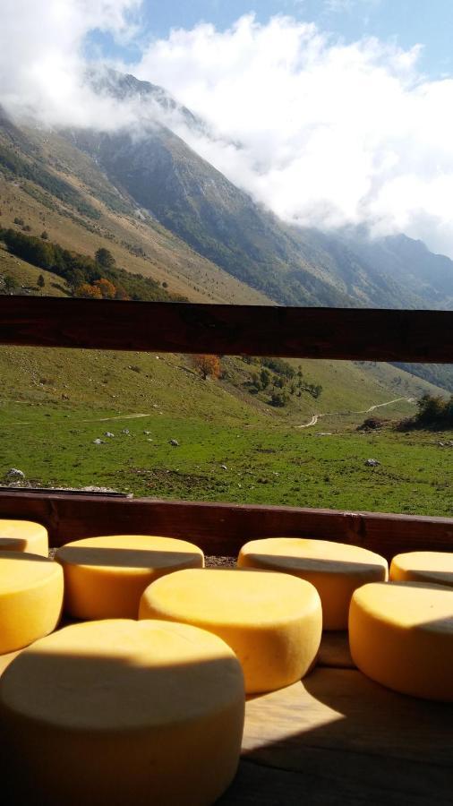 Tourist Farm Žvanč Kobarid Buitenkant foto