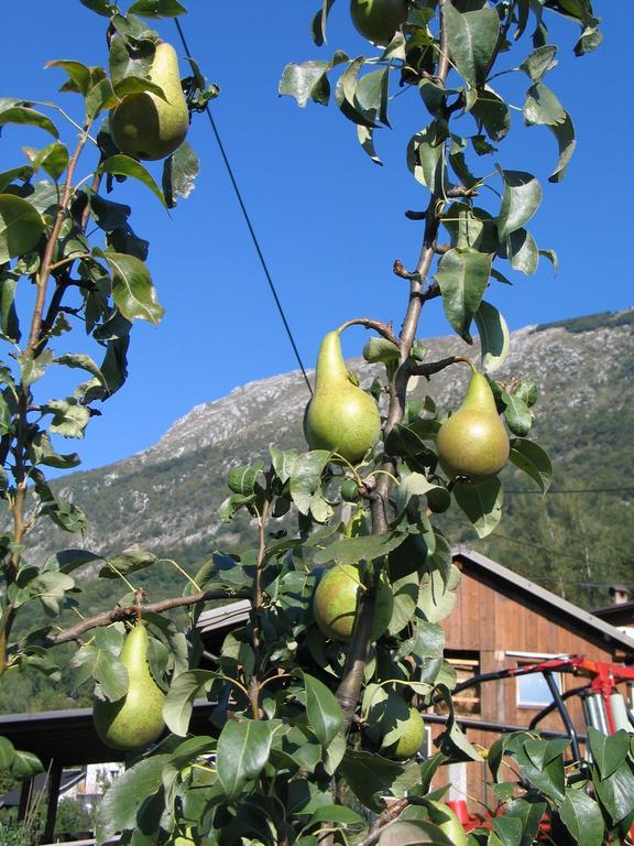 Tourist Farm Žvanč Kobarid Buitenkant foto