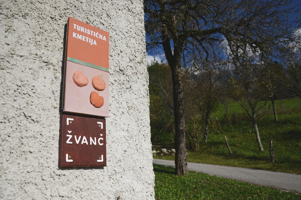 Tourist Farm Žvanč Kobarid Buitenkant foto